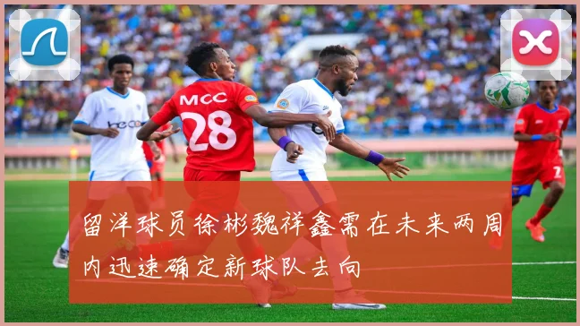 留洋球员徐彬魏祥鑫需在未来两周内迅速确定新球队去向
